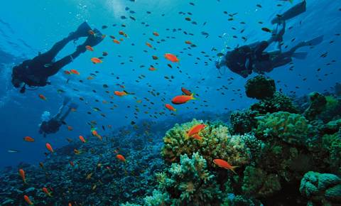 Buceo Ecológico Sian Ka'an Village